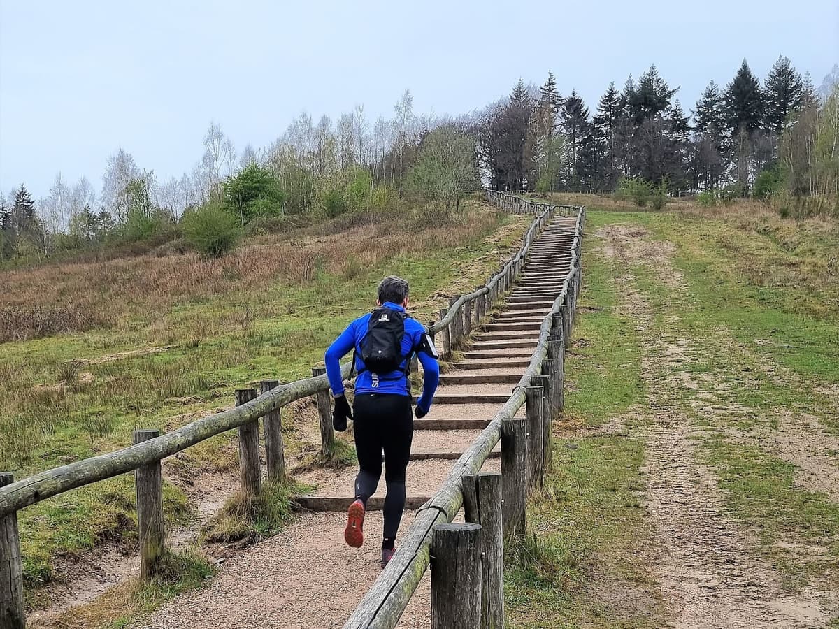 Amerongse Berg Ultra – 50 km 2026 trail running route — Netherlands · Utrecht Province