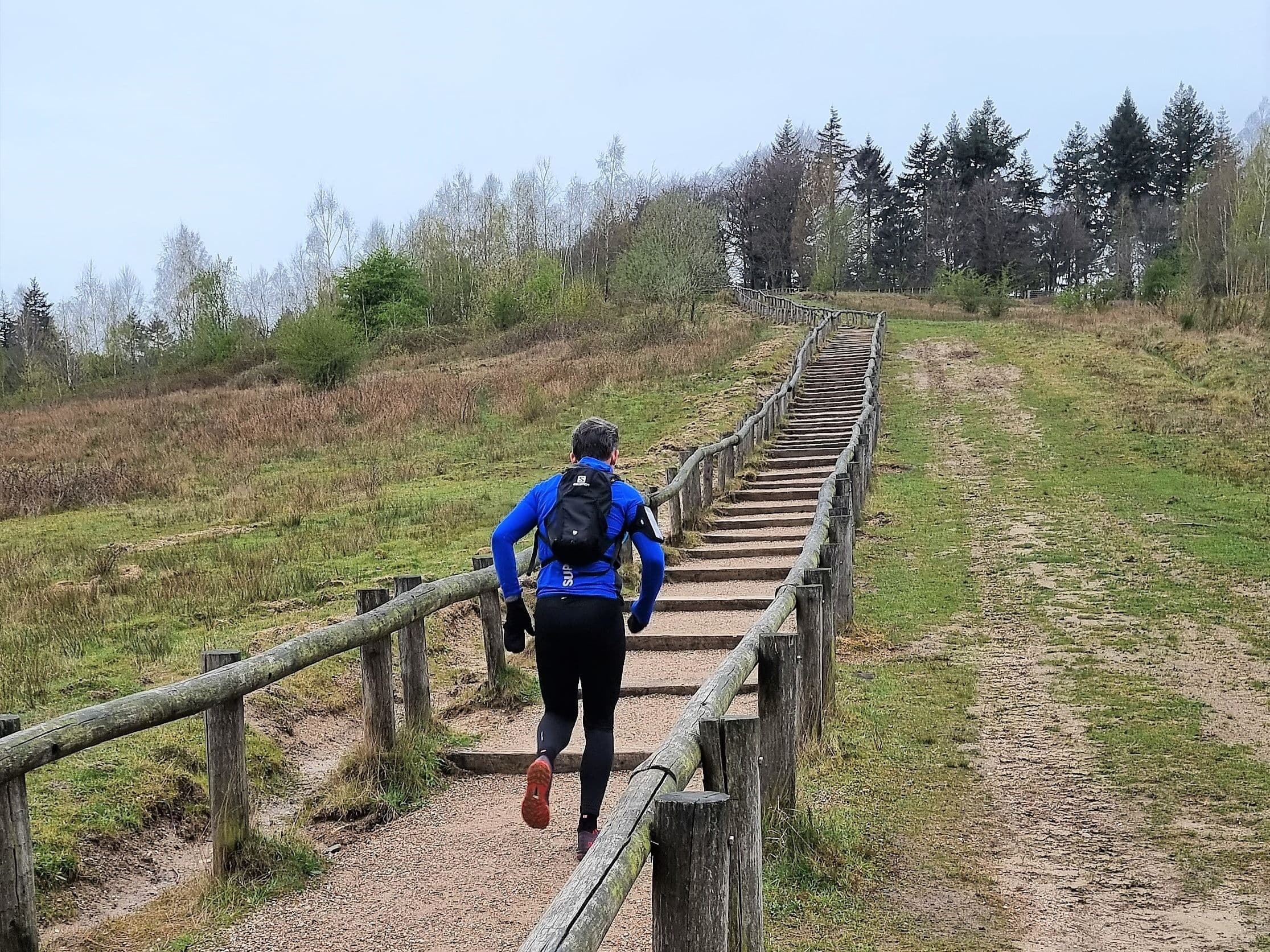 Amerongse Berg Ultra 50 km trail running route — Netherlands · Utrecht Province