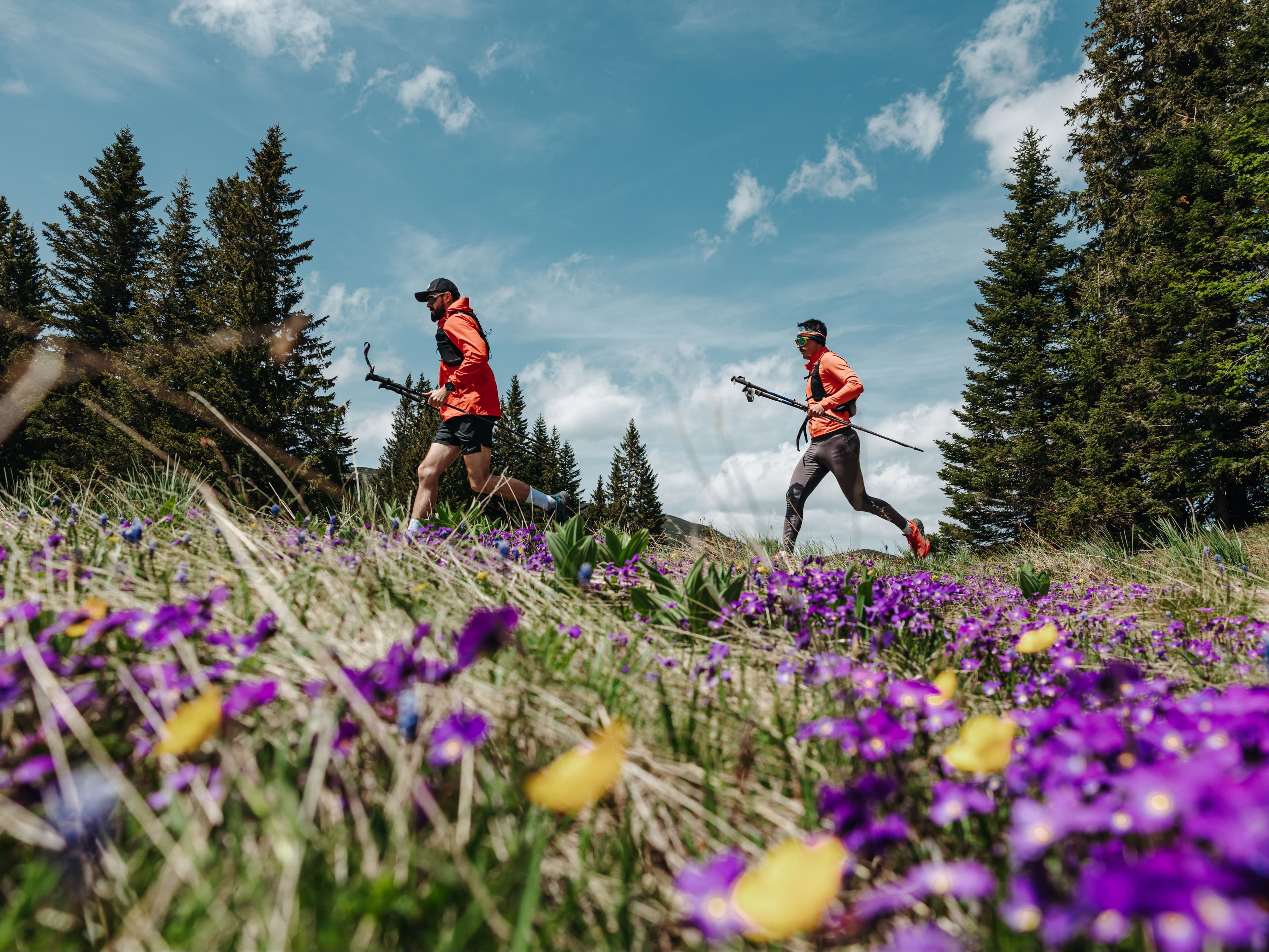 Durmitor Trail Run 64.4 km trail running route — Montenegro · Durmitor National Park