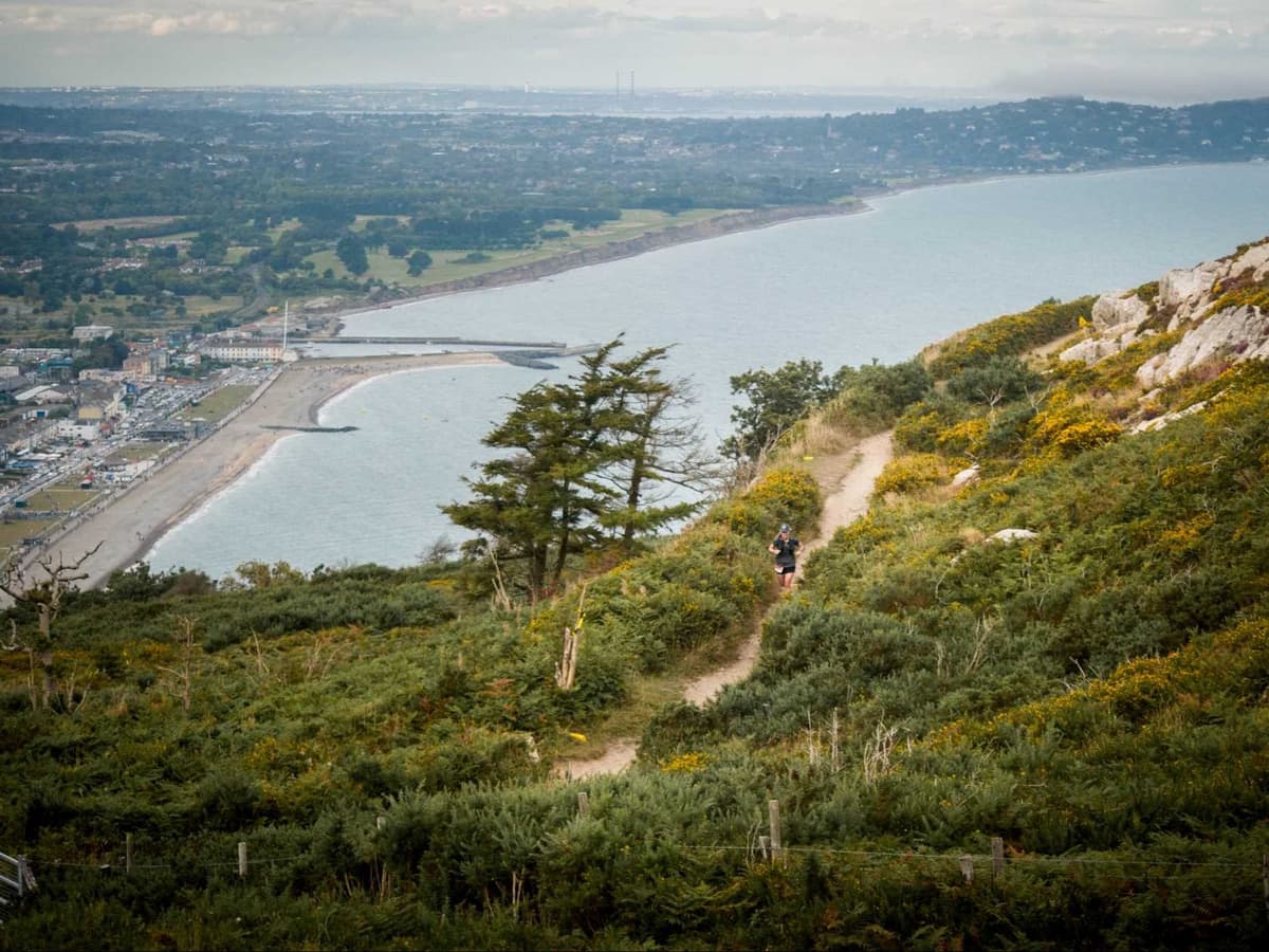 Ecotrail Wicklow – 46 km 2026 trail running route — Ireland · Leinster