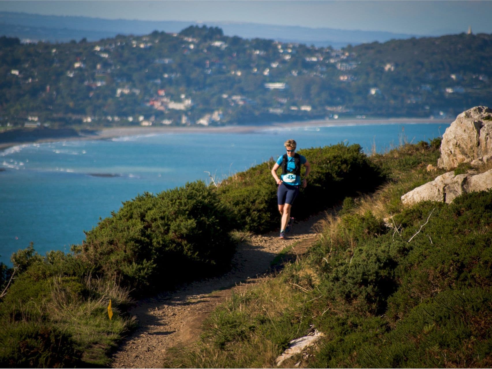 Ecotrail Wicklow 79.8 km trail running route — Ireland · Leinster