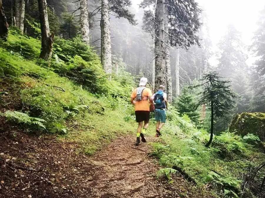 EVUT Evia Ultra Trail 108 km trail running route — Greece · Central Greece (Evia)