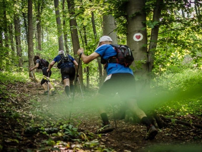 Fruška Gora Trail
