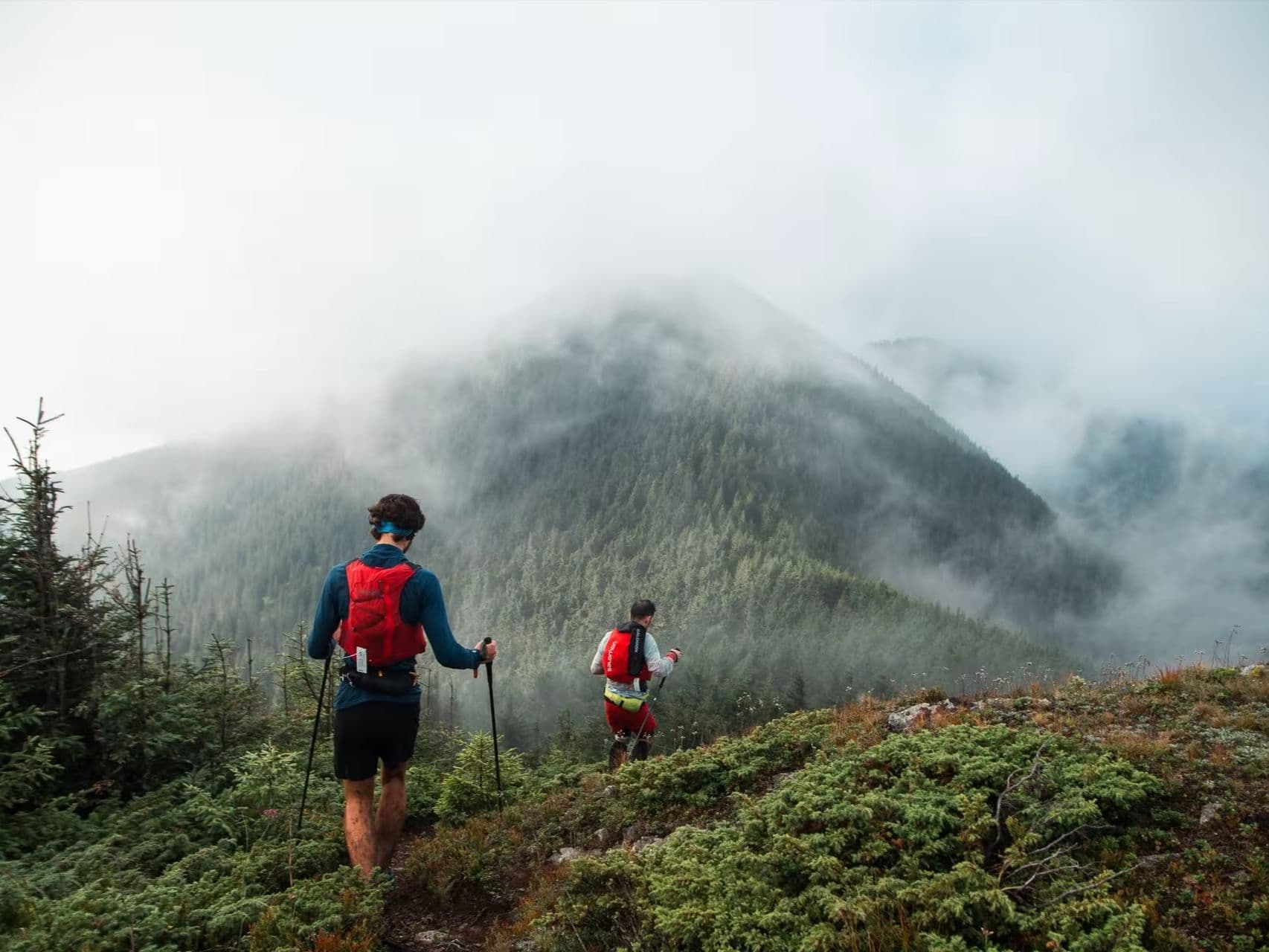 Gauja Trail by UTMB 86 km trail running route — Latvia · Vidzeme (Gauja National Park)