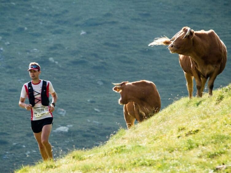 Grand Raid des Pyrénées 174.2 km trail running route — France · Occitanie (Hautes-Pyrénées)