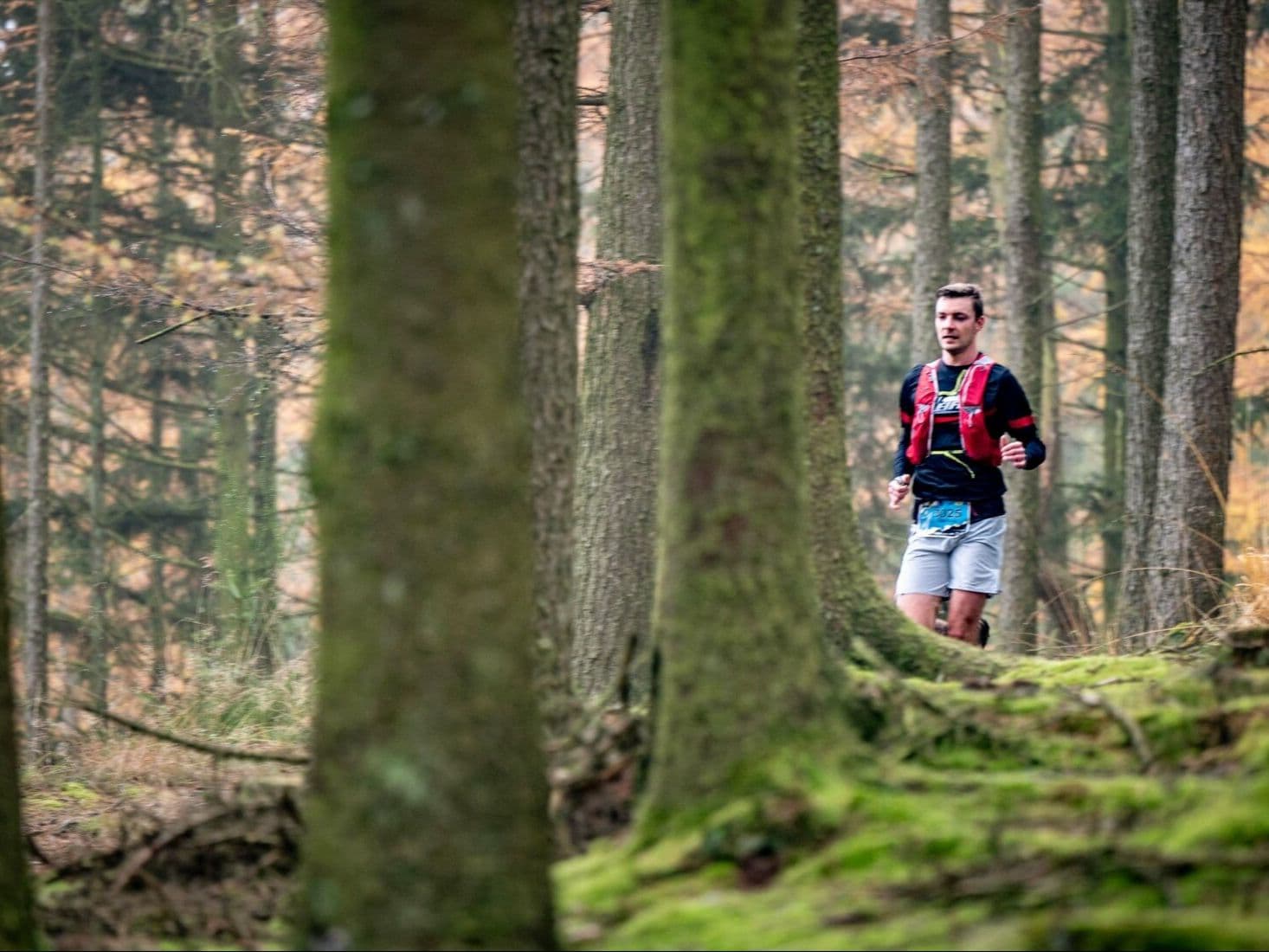 Grand Trail des Lacs & Châteaux 166 km trail running route — Belgium · Waimes
