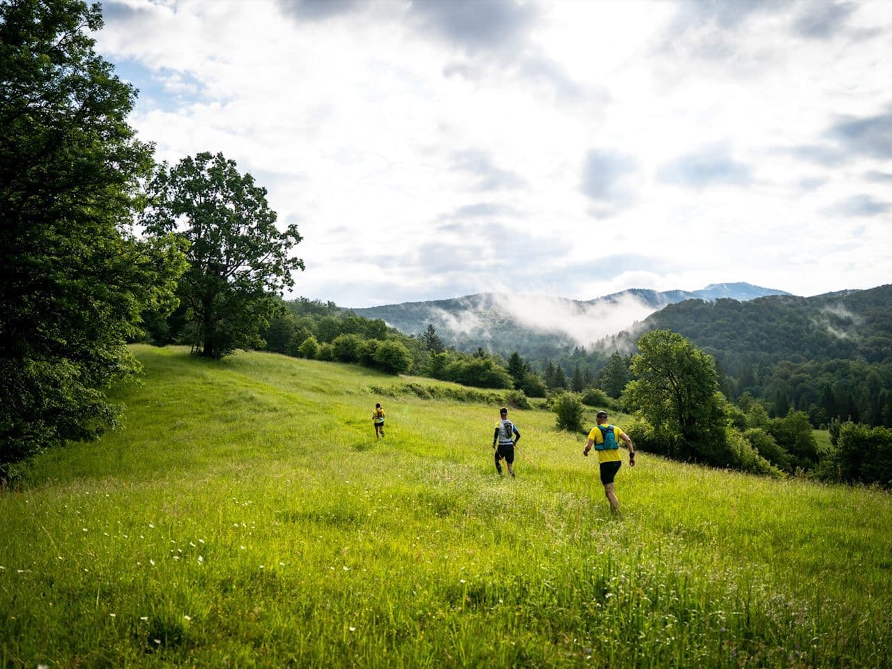 Kočevsko Outdoor Festival 62.1 km trail running route — Slovenia · Lower Carniola (Kočevsko)