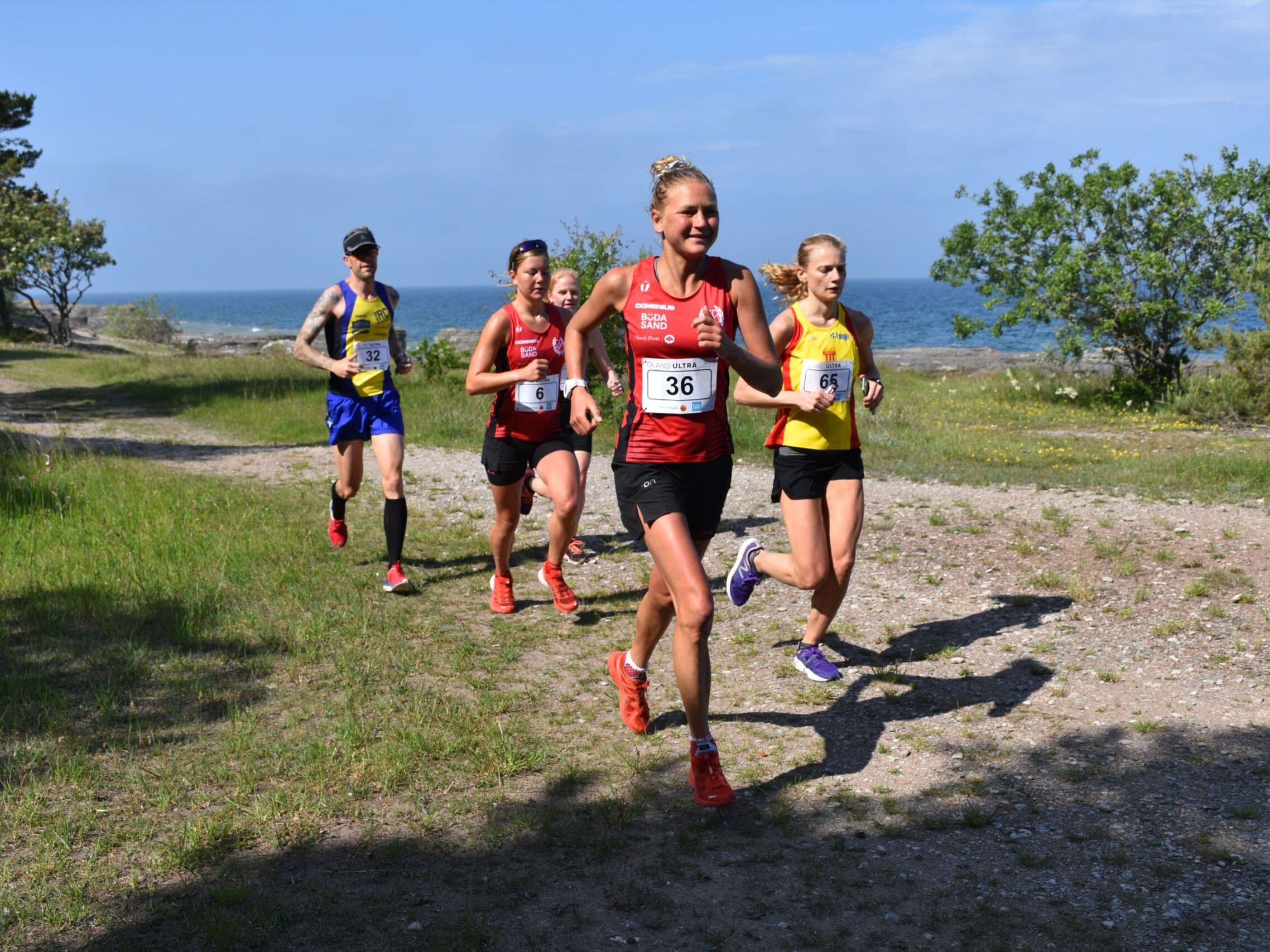 Öland Ultra 50 km trail running route — Sweden · Kalmar County