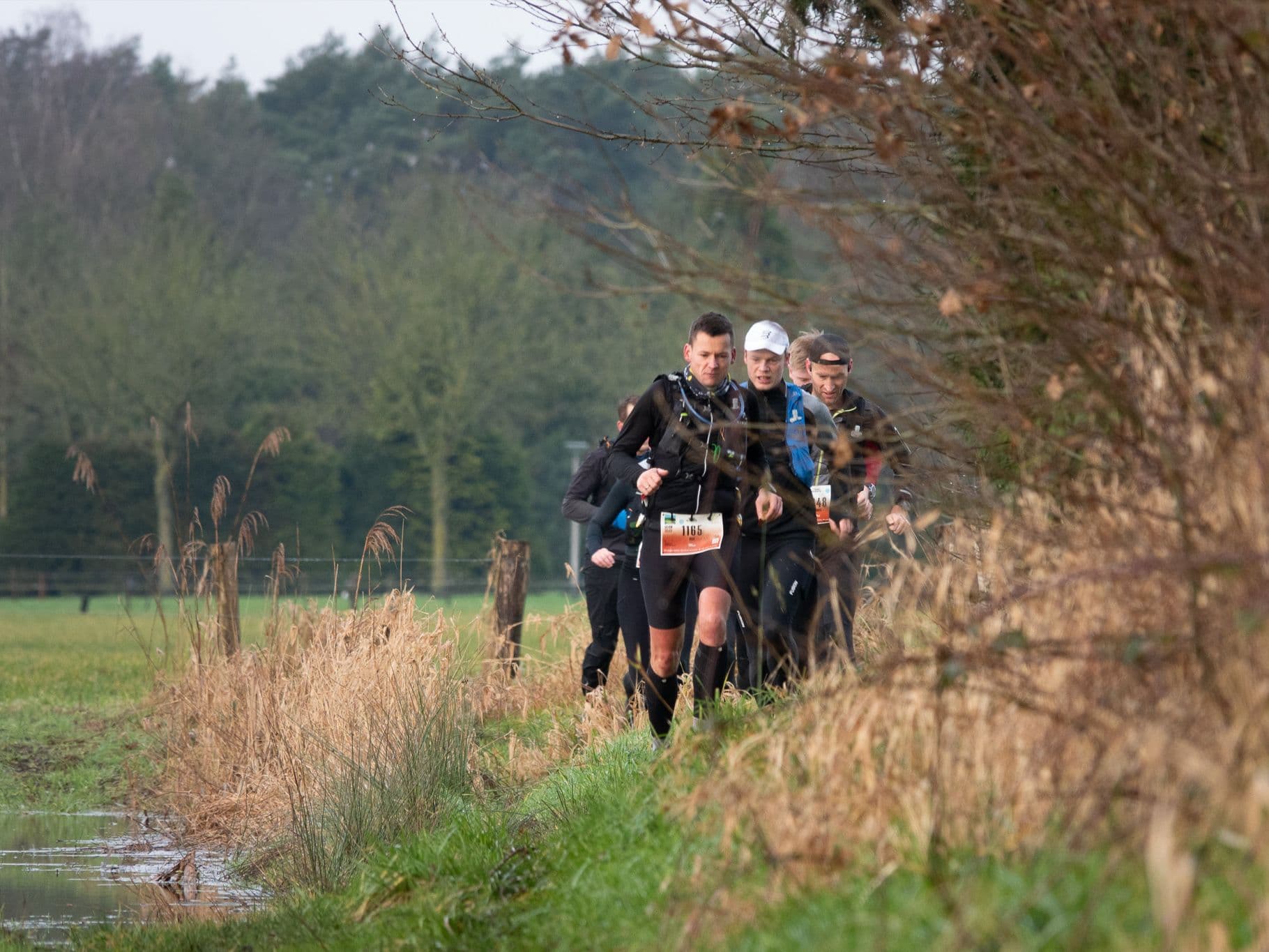 Leenderbos Ultra 50 km trail running route — Netherlands · North Brabant Province