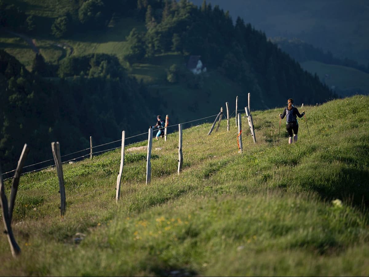 Podbrdo Trail Running Festival – 70.1 km 2026 trail running route — Slovenia · Primorska (Baška grapa/Tolmin)