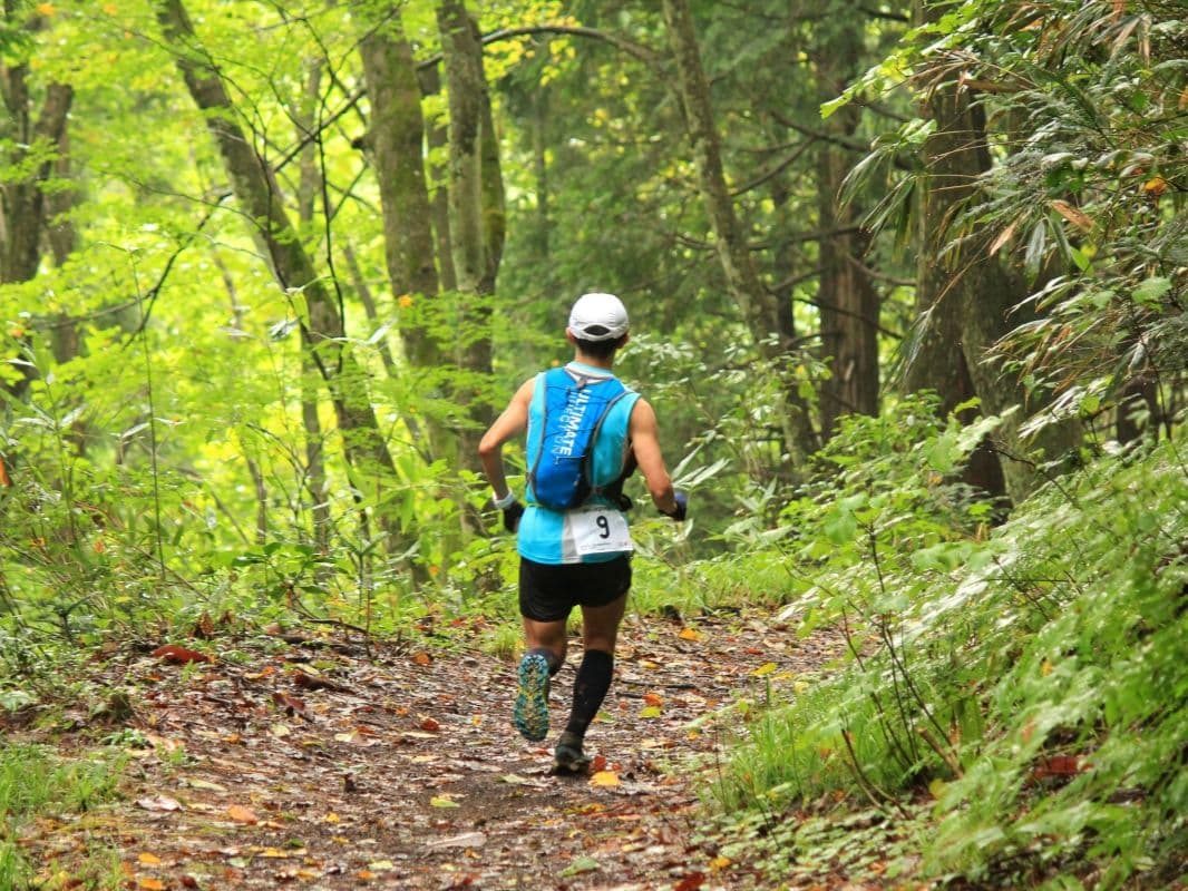 Shinetsu Five Mountains Trail Running Race 163 km trail running route — Japan · Niigata / Nagano