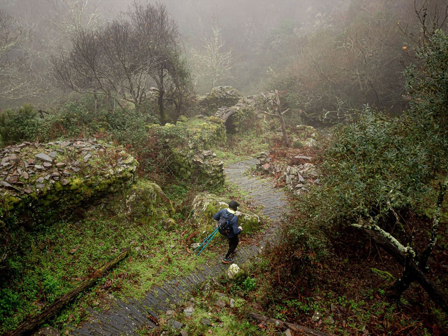 Terra de Gigantes 303.8 km trail running route — Portugal · Centro (Serra da Estrela → Nazaré)