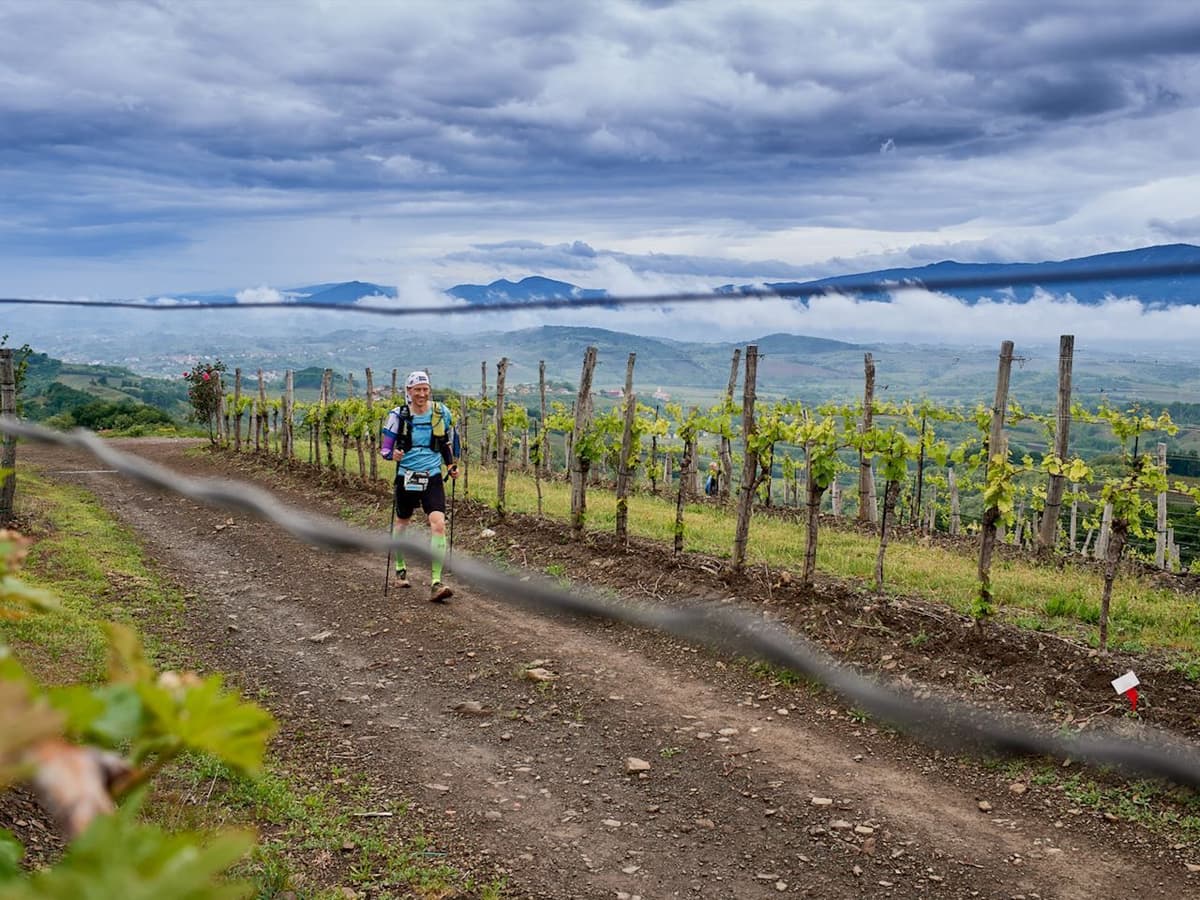 Ultra Trail Vipava Valley I Feel Slovenia – 111 km 2027 trail running route — Slovenia · Primorska (Vipava Valley)