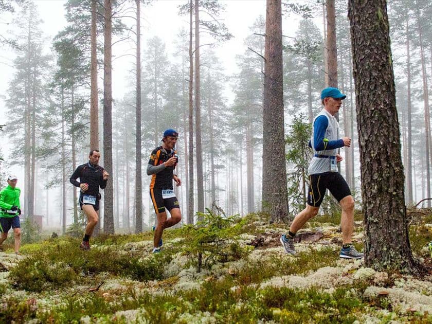 Ultravasan 44.10 km trail running route — Sweden · Dalarna County